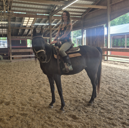 HorseID: 2316299 Lacey - PhotoID: 1102793