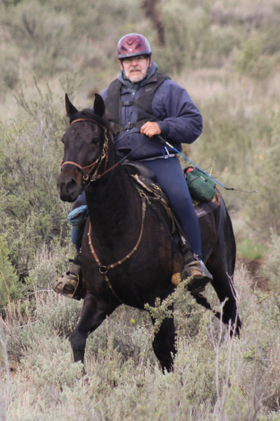 HorseID: 2316310 McCurdy's Limited Edition - PhotoID: 1102723