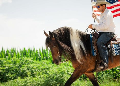 HorseID: 2316314 Jackson - PhotoID: 1102733