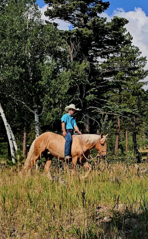 HorseID: 2316340 JC BOONSMAL - PhotoID: 1102759