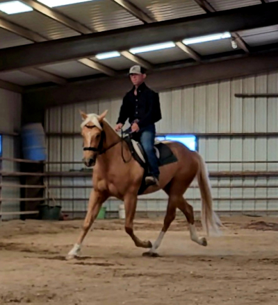 HorseID: 2316340 JC BOONSMAL - PhotoID: 1102762