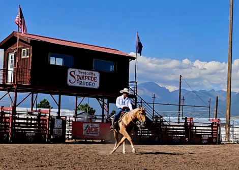 HorseID: 2316340 JC BOONSMAL - PhotoID: 1102763