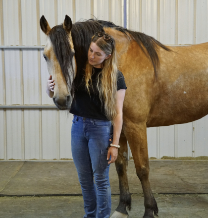 HorseID: 2316347 Rocky - PhotoID: 1102771