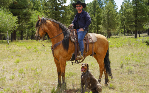 HorseID: 2316347 Rocky - PhotoID: 1102772