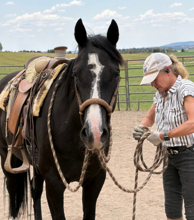 HorseID: 2316348 Smooth N Tanned - PhotoID: 1102775