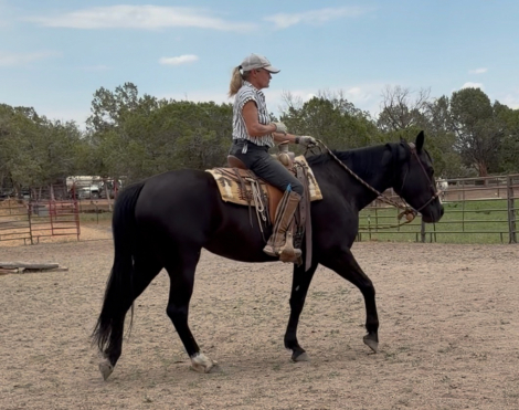 HorseID: 2316348 Smooth N Tanned - PhotoID: 1102776