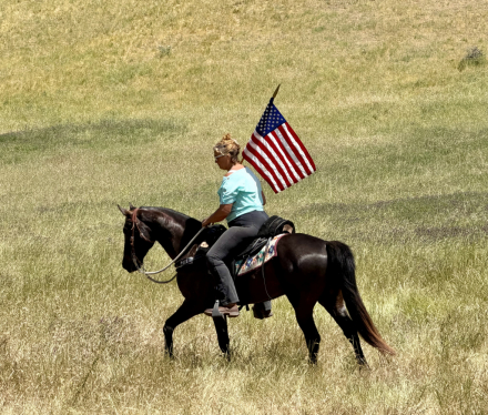 HorseID: 2316349 KEYSTONE'S REMEMBER ME - PhotoID: 1102806