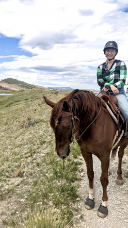 HorseID: 2316350 Kendrix - PhotoID: 1102783