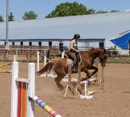 HorseID: 2316350 Kendrix - PhotoID: 1102784