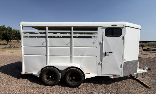 HorseID: 2316381 Crusaders Prince McCue - PhotoID: 1102836