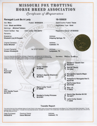 HorseID: 2316408 Renegait Luck Be A Lady - PhotoID: 1102868