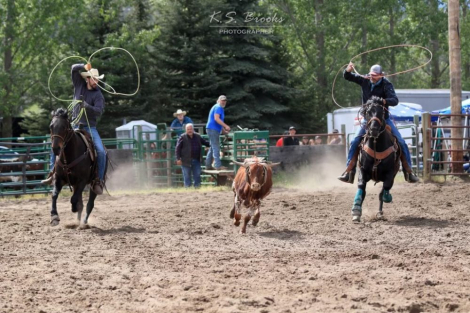 HorseID: 2316409 WHATA BOLD CHALLENGE - PhotoID: 1102870