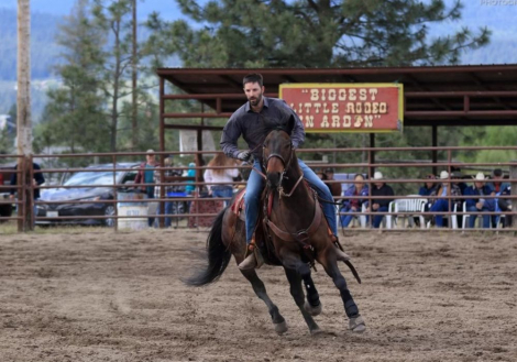 HorseID: 2316409 WHATA BOLD CHALLENGE - PhotoID: 1102871