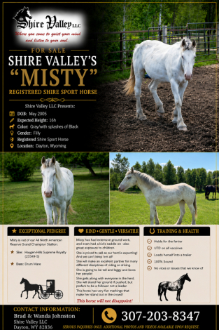 HorseID: 2316419 Shire Valley's Misty - PhotoID: 1102889