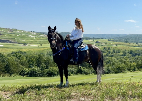 HorseID: 2316439 Magnum - PhotoID: 1102906