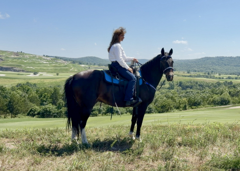 HorseID: 2316439 Magnum - PhotoID: 1102907