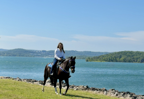 HorseID: 2316439 Magnum - PhotoID: 1102908