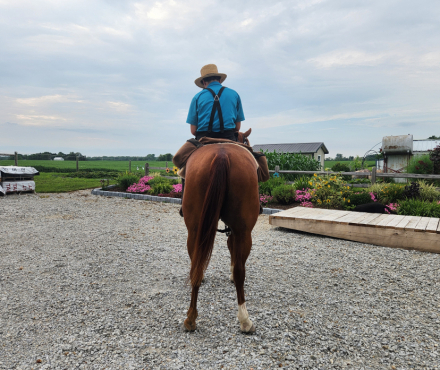 HorseID: 2316457 Rockin The Chrome - PhotoID: 1102927