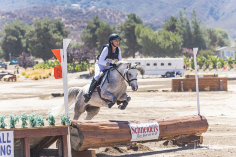 HorseID: 2316471 All That Glitters - PhotoID: 1102947