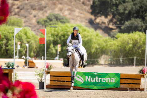 HorseID: 2316471 All That Glitters - PhotoID: 1102948