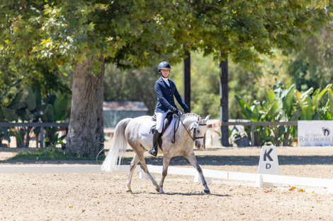 HorseID: 2316471 All That Glitters - PhotoID: 1102949