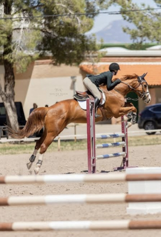 HorseID: 2316473 Red High Heels - PhotoID: 1102954