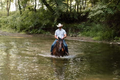 HorseID: 2316515 Murphy - PhotoID: 1103012