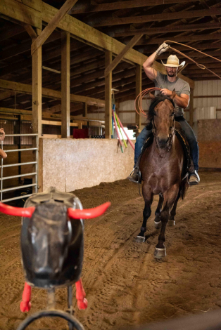 HorseID: 2316515 Murphy - PhotoID: 1103014