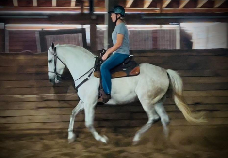 HorseID: 2316528 Åska - PhotoID: 1103023