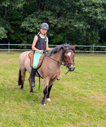HorseID: 2316533 Picasso - PhotoID: 1103139