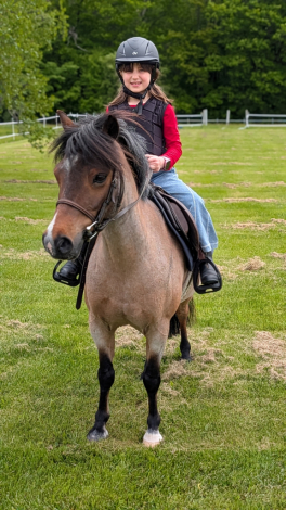 HorseID: 2316533 Picasso - PhotoID: 1103140