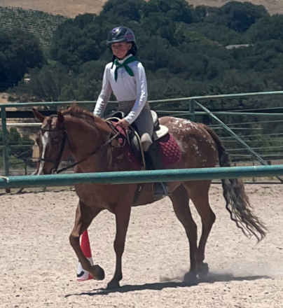 HorseID: 2316551 Cajun Temptation - PhotoID: 1103056