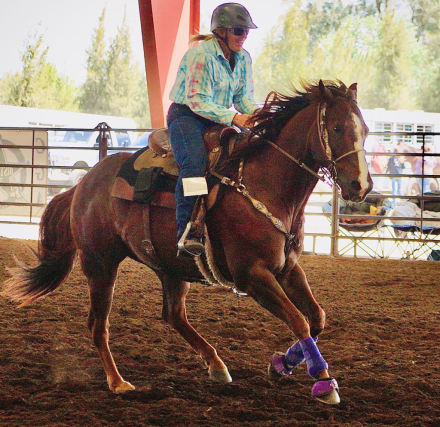 HorseID: 2316553 SIX MOONS WRANGLER - PhotoID: 1103060