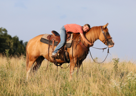 HorseID: 2316557 Patty - PhotoID: 1103068