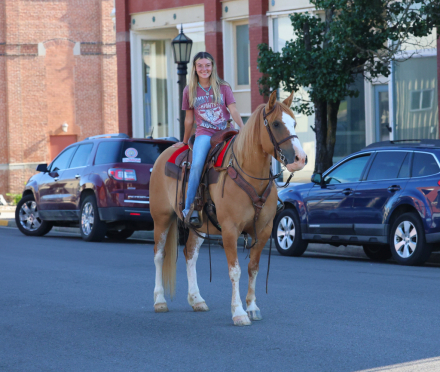 HorseID: 2316557 Patty - PhotoID: 1103069