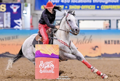 HorseID: 2316585 Dreamer “Hoop Dream” - PhotoID: 1103150