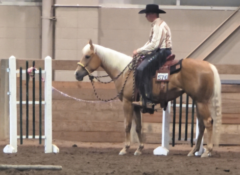 HorseID: 2316590 LIGHTSKIRT LADY - PhotoID: 1103129