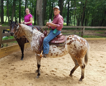HorseID: 2316598 Pep N Pop's Chia Starburst Fancy Pants - PhotoID: 1103132