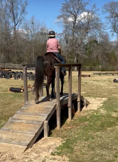 HorseID: 2316605 Chance - PhotoID: 1103267