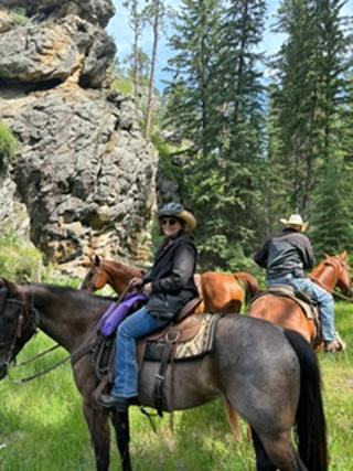 HorseID: 2316605 Chance - PhotoID: 1103270