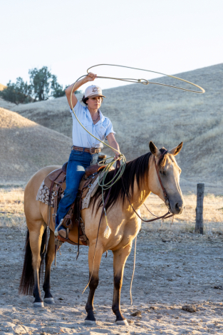 HorseID: 2316621 Shezadual Cashnhoney - PhotoID: 1103158