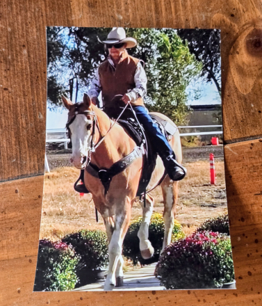 HorseID: 2316630 Outrageously Guilty - PhotoID: 1103167