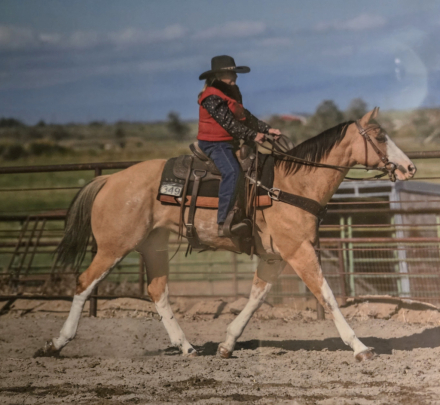 HorseID: 2316630 Outrageously Guilty - PhotoID: 1103214