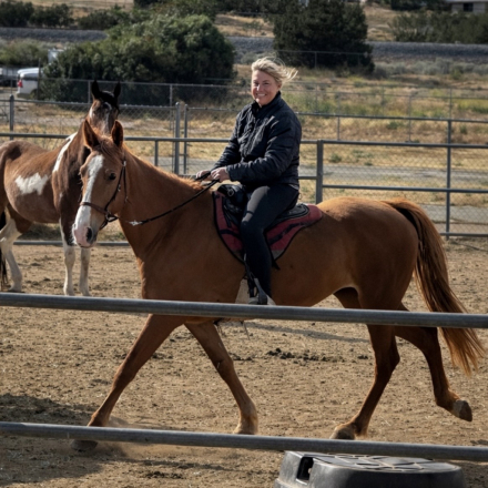 HorseID: 2316646 Piper - PhotoID: 1103179
