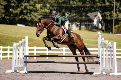 HorseID: 2316661 Bobby Song - PhotoID: 1103202