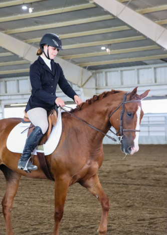 HorseID: 2316687 Little Magic’s Legacy - PhotoID: 1103247