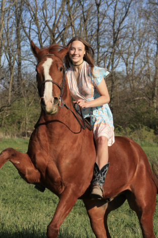 HorseID: 2316687 Little Magic’s Legacy - PhotoID: 1103249