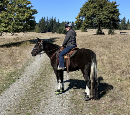 HorseID: 2316721 Noodle - PhotoID: 1103282