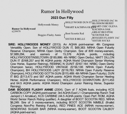 HorseID: 2316729 Rumor In Hollywood - PhotoID: 1103289
