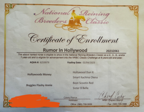 HorseID: 2316729 Rumor In Hollywood - PhotoID: 1103290